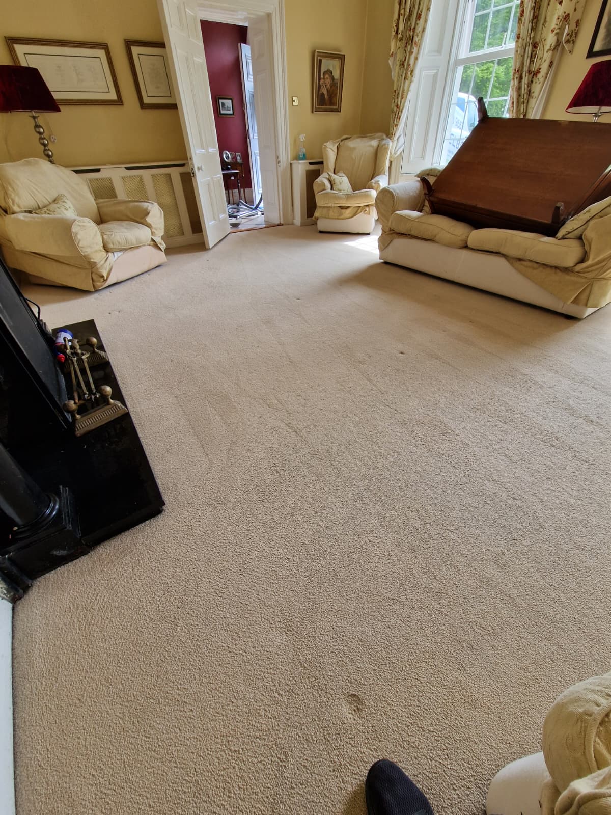 Carpet Cleaning
