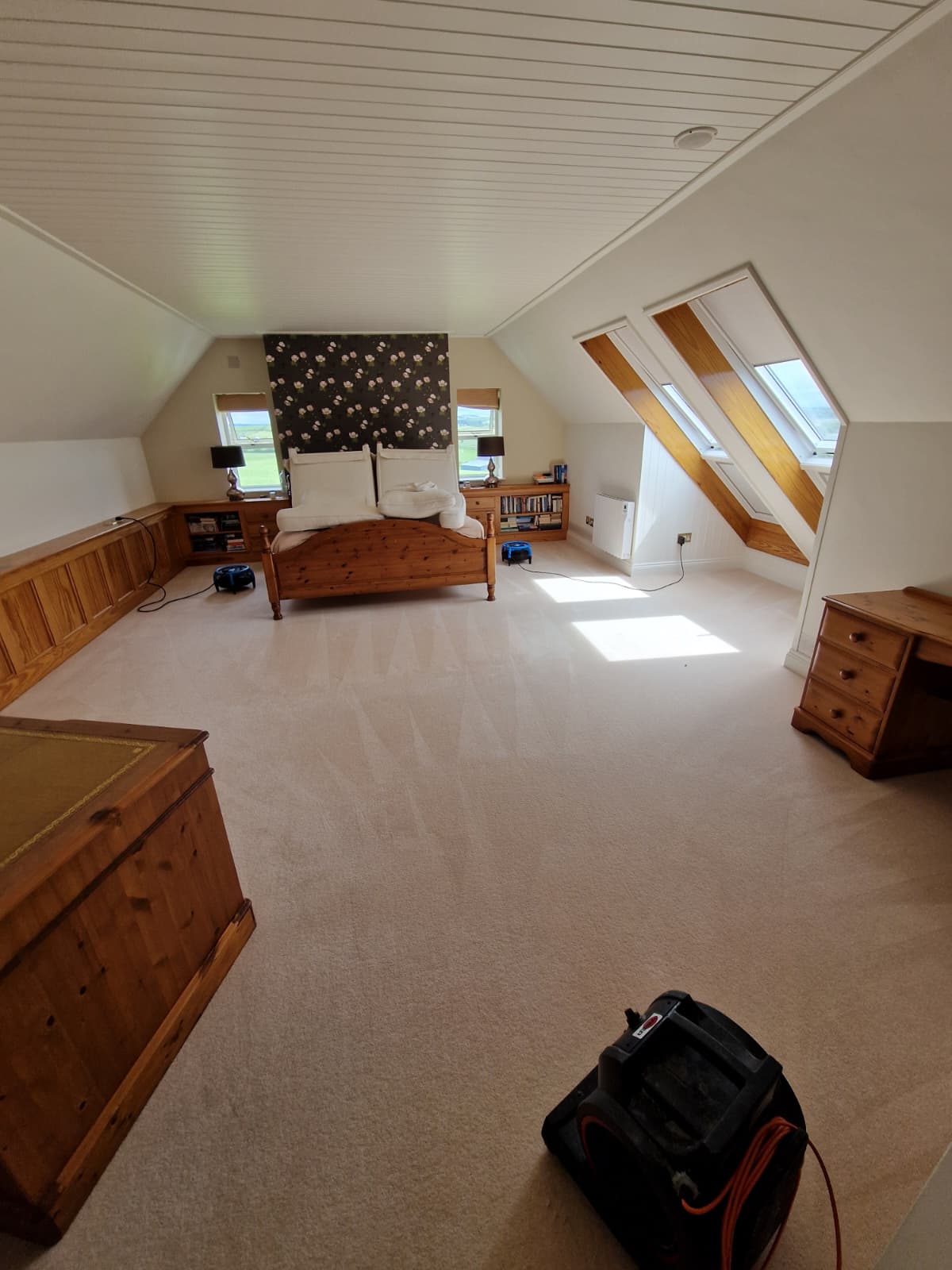 Carpet Cleaning