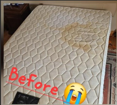 Mattress Cleaning - Before