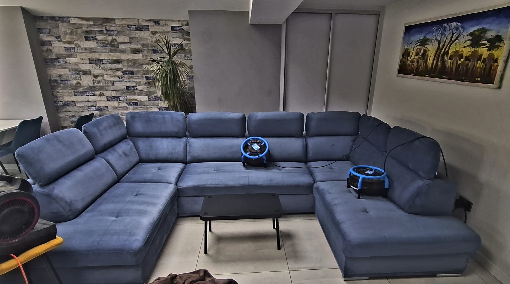 Upholstery Cleaning